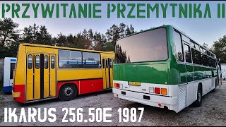 Kultowy Ikarus: nowy nabytek  Ikarus 256.50E 1987r. PRZEMYTNIK II. Tak wygląda nowy Ikarus!