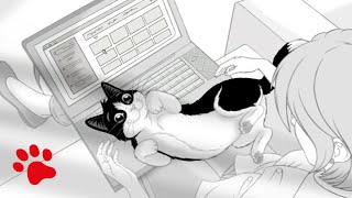 Felix Sensations Clevere Katzen Bekommen Immer, Was Sie Wollen