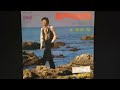 冨田裕 旅人の詩 1979年発売