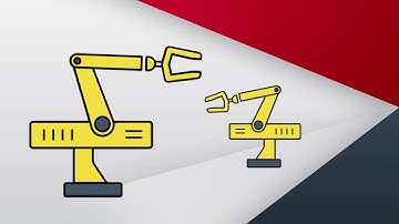 Dual Robot Automation