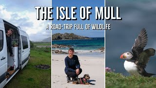 Isle of Mull by Campervan | The best wildlife, camp spots and things to do | VanLife Scotland