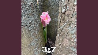 trying! (interlude)