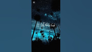 #راحة_نفسية #قران_كريم #مقاطع_دينية #تونس_مصر #الجزائر #خشوع #تلاوة