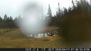 2026 — DSCF1736