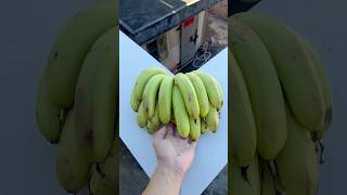 Experiment: Will bananas and watermelons explode when they roll down a tall building? 🍉🍌#shorts Net Worth