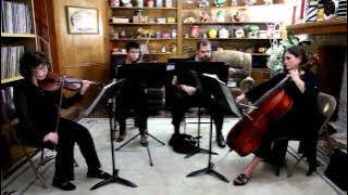 Caribbean Blue by Enya by Musical Discovery Chamber Players