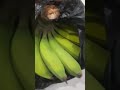 ada yang ngirim pisang tapi ga tahu siapa, salah kirim x ya #shorts #pisang #banana