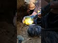 Women Mining Find Crystal In Deep Wild [part 17] #crystals #mining #find #gemstone