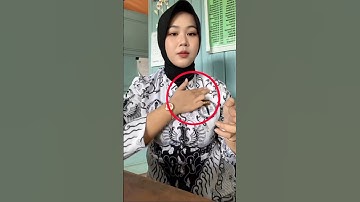 Buk Guru PNS Cantik Mencuri perhatian netizen dimedia sosial