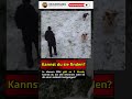 Zwei springen sofort ins Auge… der dritte nicht 🤔