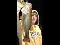 Hauling In My personal Best Largemouth Bass