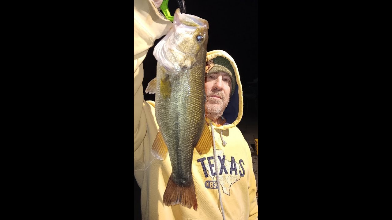 Hauling In My personal Best Largemouth Bass
