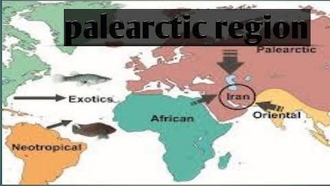 zoogeographical regions of the world (palearctic region)||zoogeographical Realms||
