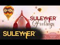 Suleymer  feelings  official single 