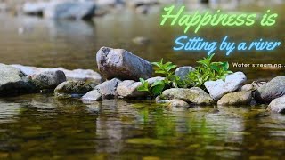 Begin Your Day with POSITIVE ENERGY • RELAXING RIVER SOUNDS with Melodious PIANO MUSIC • #relaxing