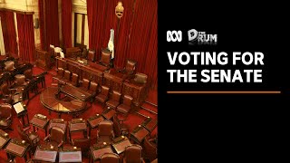 How does voting for the Senate work? | The Drum | ABC News