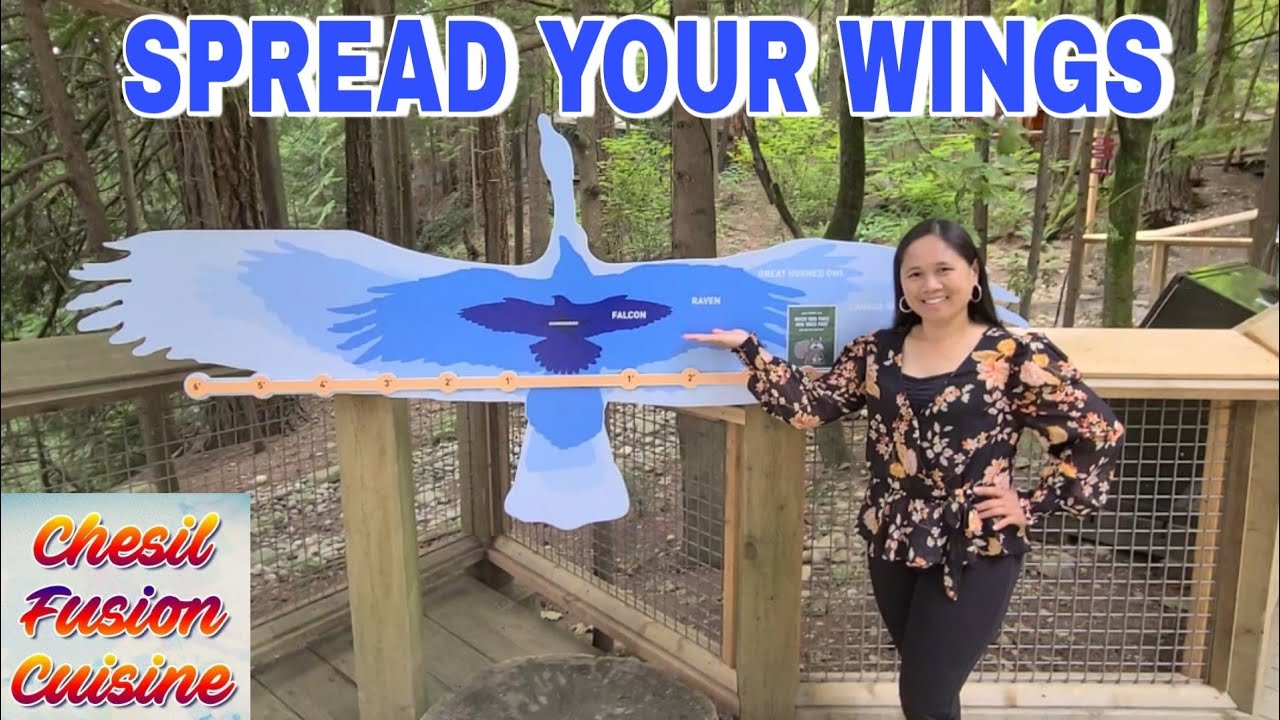 SPREAD YOUR WINGS YouTube