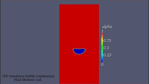 Single Bubble Condensation with OpenFOAM