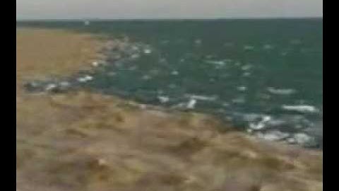 أنظر عظمة الله تتجلى في سورة الرحمن