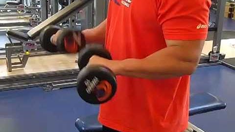 Dumbbell Hammer Curl to Rotation