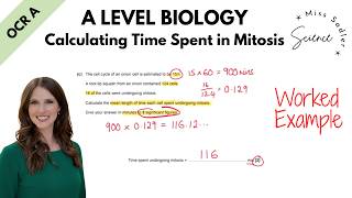 A Level Biology Calculating Time Spent in Mitosis Worked example
