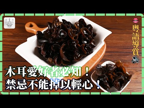 【#粵】🖤木耳愛好者必知！🚫禁忌不能掉以輕心🔍！【全民百科】#生活百科