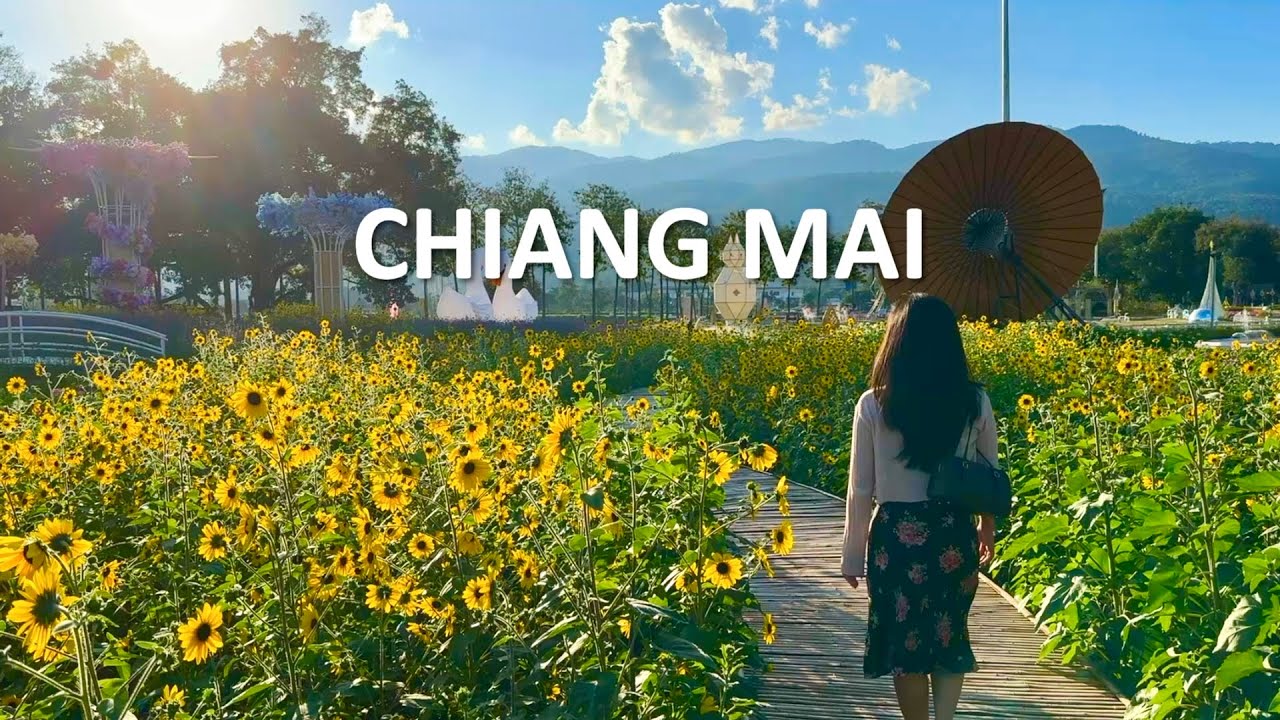 The Japanese touch of Chiang Mai, matcha & Food journey 