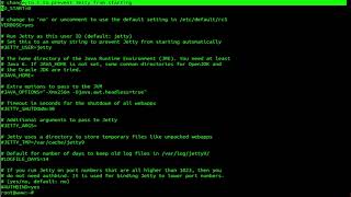 How To install Jetty Application Server on Ubuntu 18.04.1 LTS Linux