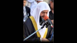 الشيخ حاتم فريد تلاوة رائعة من سورة فُصِّلَتْ
