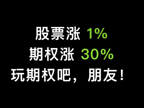 股票涨1%，期权能赚30%，美股和比特币期权的魅力，快来感受下（第265期）