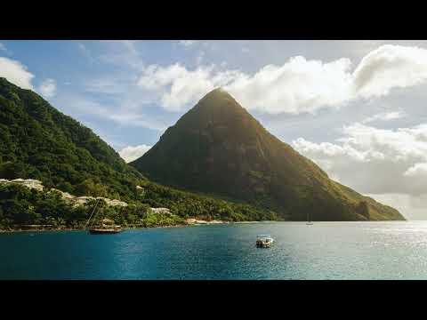 落了空 - 周思涵