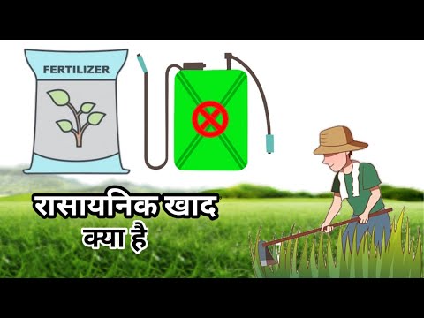 वीडियो: क्या स्टीयर खाद चिकन की खाद से बेहतर है?