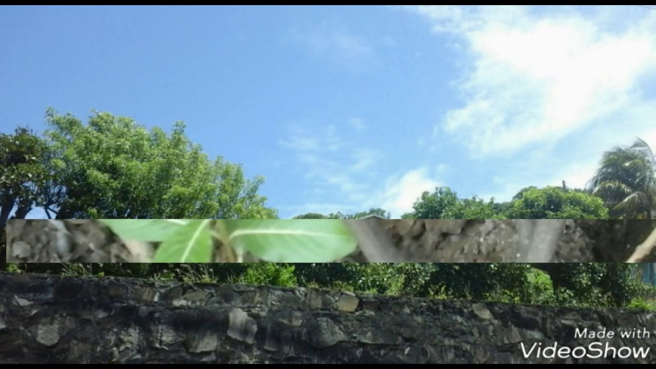 Slideshow pictures of St .Vincent and the Grenadines in Prospect!!!⛵