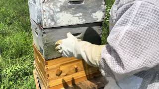 Opening a bee hive that hasn’t been opened in a while