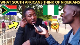 What South Africans Think of Nigerians & Nigeria was Unexpected