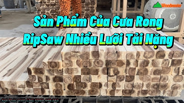 MÁY CƯA RONG RIPSAW NHIỀU LƯỠI, TẢI NẶNG WM-320MR.