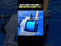 生きた小魚をそのまま餌に！ 海底の巨大魚との壮絶バトル！