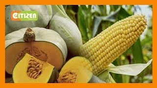 Pamela Mwale atafuta soko la maboga Uasin Gishu