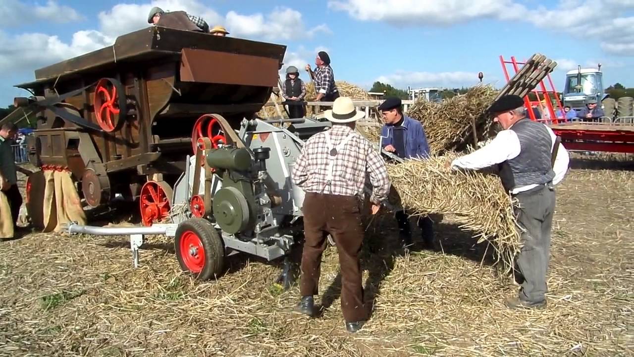 Battage et labour à l'ancienne au comice agricole de Goudelin 2015