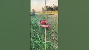 smart tool to clear weeds quickly #shorts