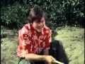 The Monkees - I'll Be Back Upon My Feet