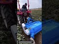 This Tractor Cuts Sweet Potato Leaves in Seconds! Pre-Harvest Hack 🚜🔥