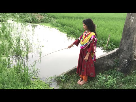 Beautiful Girl Hook Fishing - Traditional Hook Fishing - Best Village Girls Fishing (Part-07)