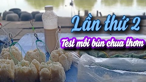 Test mồi bún chua thơm lần thứ 2 | Bắt đc 2 con dậy thì , và 2 con mầm non.
