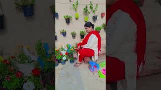 Plants From Nursery ❤? || viral gardening nursery shorts trendingshorts trending song