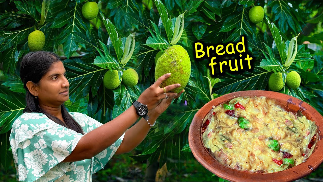 ஈரப்பலா கறி | Creamy Breadfruit Curry & Breadfruit Peel-fry made a perfect combination 🫨