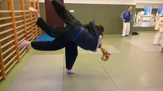 jiu-jitsu throws