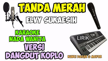 KARAOKE TANDA MERAH ELVY SUKAESIH-VERSI DANGDUT KOPLO