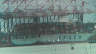Timelapse: Maher Terminal | COSCO Hope