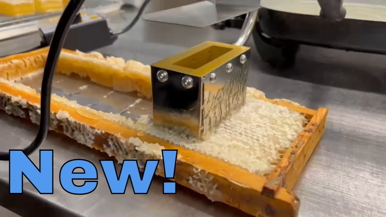 Cut Premium $10 Comb Honey with this New Tool! - YouTube